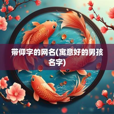 带仰字的网名(寓意好的男孩名字)