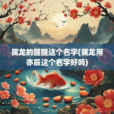 属龙的醒醒这个名字(属龙用亦辰这个名字好吗)