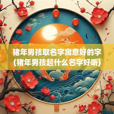 猪年男孩取名字寓意好的字(猪年男孩起什么名字好听)
