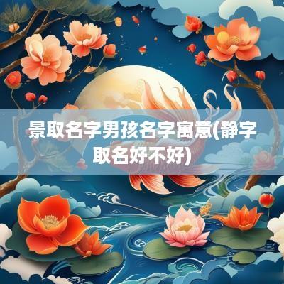 景取名字男孩名字寓意(静字取名好不好)