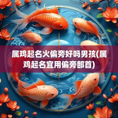 属鸡起名火偏旁好吗男孩(属鸡起名宜用偏旁部首)