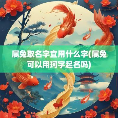 属兔取名字宜用什么字(属兔可以用珂字起名吗)