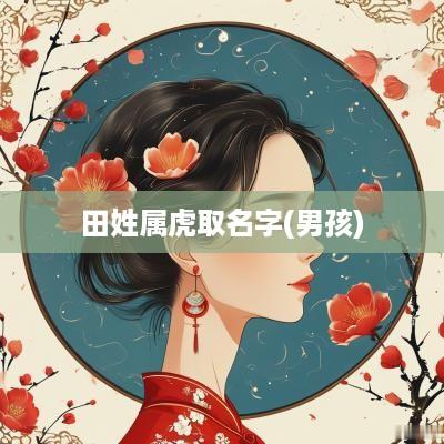 田姓属虎取名字(男孩)