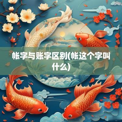 帐字与账字区别(帐这个字叫什么)