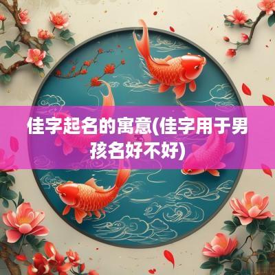 佳字起名的寓意(佳字用于男孩名好不好)