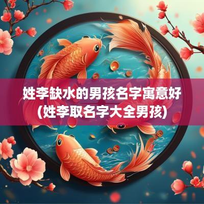 姓李缺水的男孩名字寓意好(姓李取名字大全男孩)