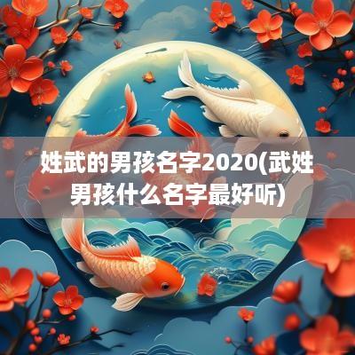 姓武的男孩名字2025(武姓男孩什么名字最好听)