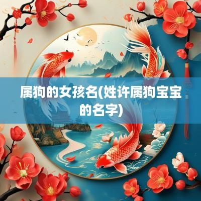 属狗的女孩名(姓许属狗宝宝的名字)