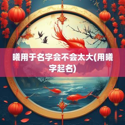曦用于名字会不会太大(用曦字起名)
