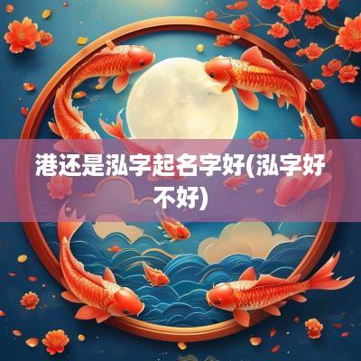 港还是泓字起名字好(泓字好不好)