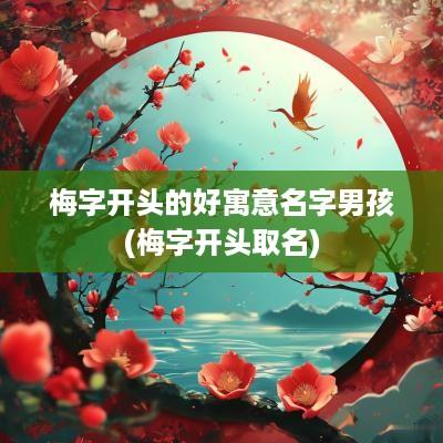 梅字开头的好寓意名字男孩(梅字开头取名)