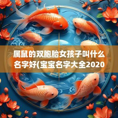属鼠的双胞胎女孩子叫什么名字好(宝宝名字大全2025属鼠双胞胎)