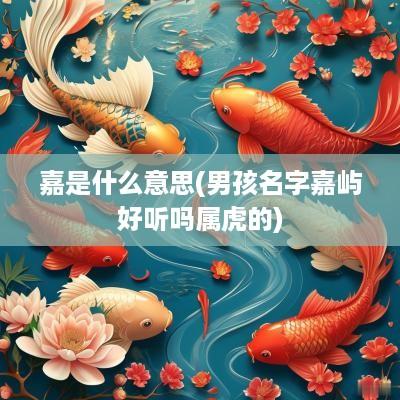 嘉是什么意思(男孩名字嘉屿好听吗属虎的)