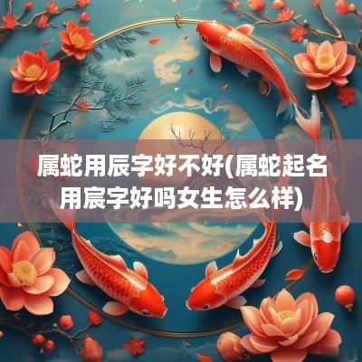 属蛇用辰字好不好(属蛇起名用宸字好吗女生怎么样)