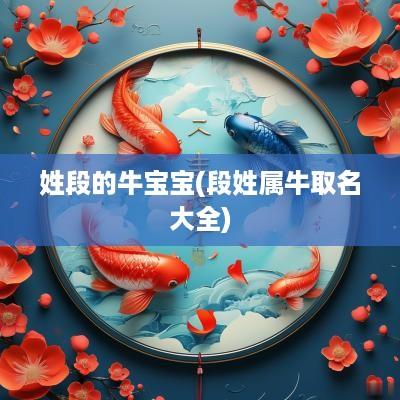 姓段的牛宝宝(段姓属牛取名大全)