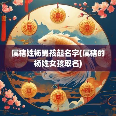 属猪姓杨男孩起名字(属猪的杨姓女孩取名)