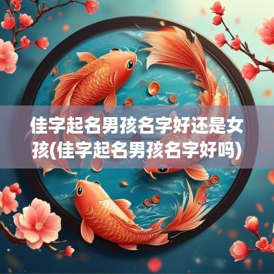 佳字起名男孩名字好还是女孩(佳字起名男孩名字好吗)