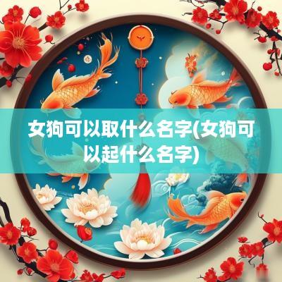 女狗可以取什么名字(女狗可以起什么名字)