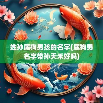 姓孙属狗男孩的名字(属狗男名字带孙天禾好吗)