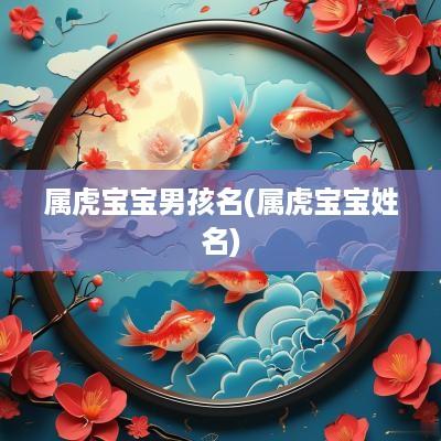 属虎宝宝男孩名(属虎宝宝姓名)
