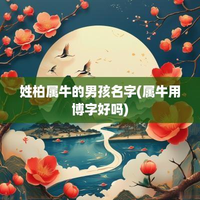 姓柏属牛的男孩名字(属牛用博字好吗)