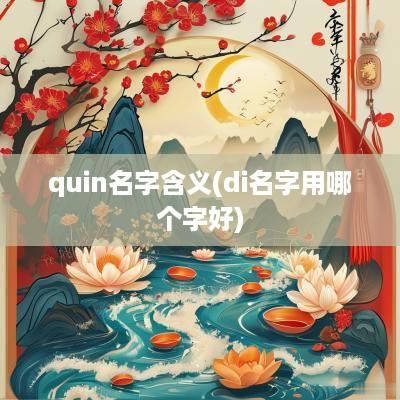 quin名字含义(di名字用哪个字好)