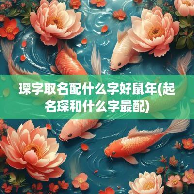 琛字取名配什么字好蛇年(起名琛和什么字最配)