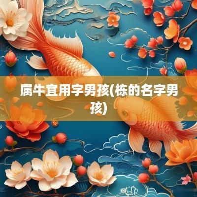 属牛宜用字男孩(栋的名字男孩)