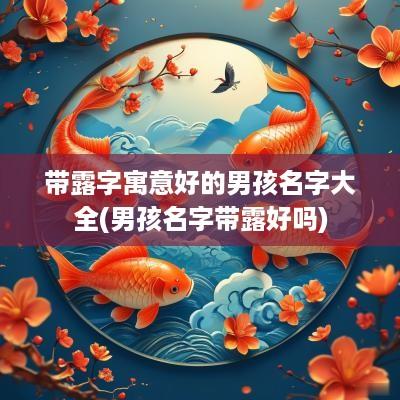 带露字寓意好的男孩名字大全(男孩名字带露好吗)