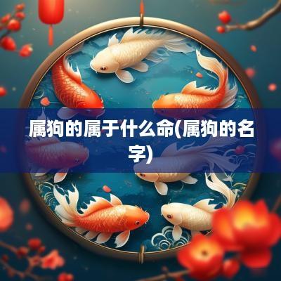 属狗的属于什么命(属狗的名字)