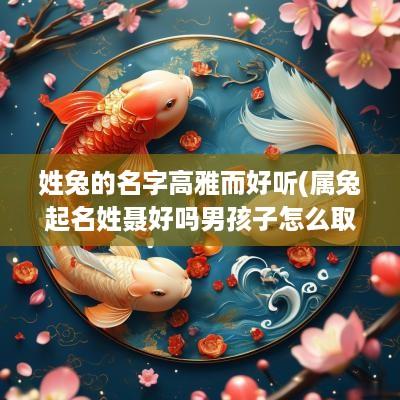 姓兔的名字高雅而好听(属兔起名姓聂好吗男孩子怎么取)