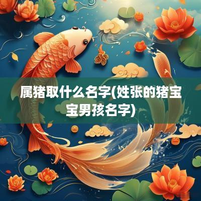 属猪取什么名字(姓张的猪宝宝男孩名字)