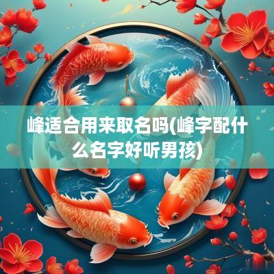 峰适合用来取名吗(峰字配什么名字好听男孩)