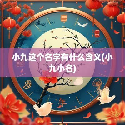 小九这个名字有什么含义(小九小名)