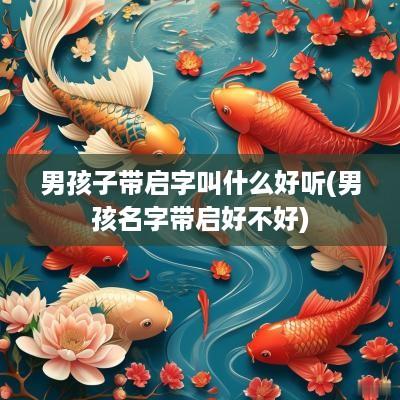 男孩子带启字叫什么好听(男孩名字带启好不好)