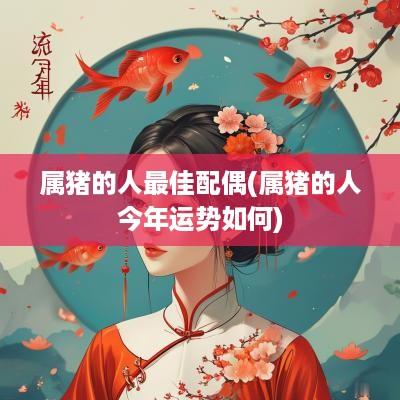 属猪的人最佳配偶(属猪的人今年运势如何)