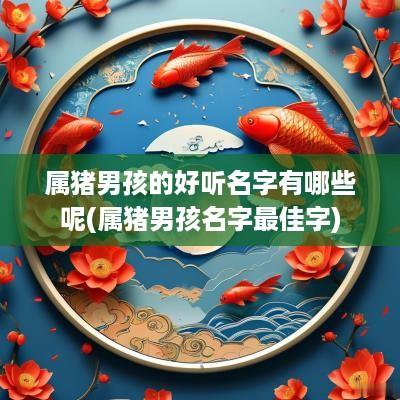 属猪男孩的好听名字有哪些呢(属猪男孩名字最佳字)