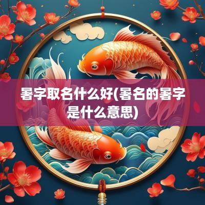 暑字取名什么好(暑名的暑字是什么意思)