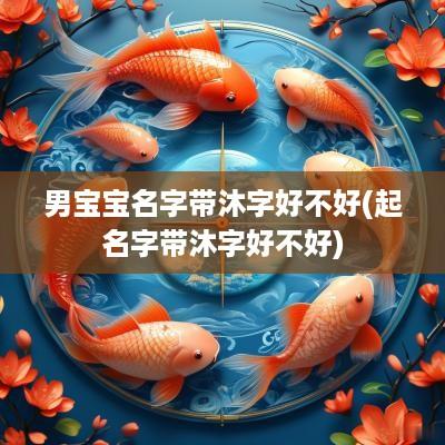 男宝宝名字带沐字好不好(起名字带沐字好不好)