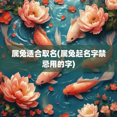 属兔适合取名(属兔起名字禁忌用的字)