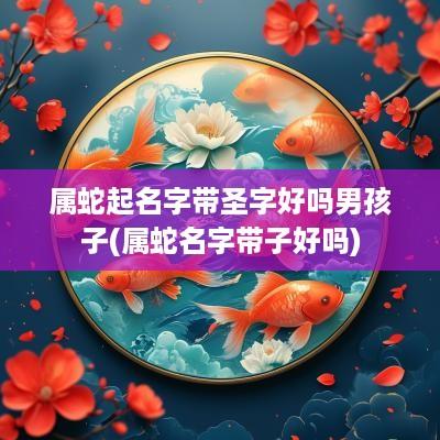 属蛇起名字带圣字好吗男孩子(属蛇名字带子好吗)