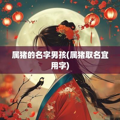 属猪的名字男孩(属猪取名宜用字)