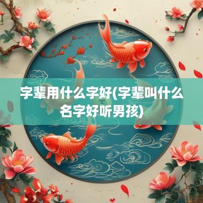 字辈用什么字好(字辈叫什么名字好听男孩)
