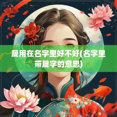 晟用在名字里好不好(名字里带晟字的意思)