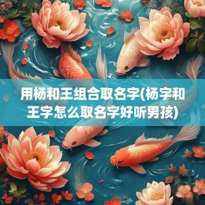 用杨和王组合取名字(杨字和王字怎么取名字好听男孩)