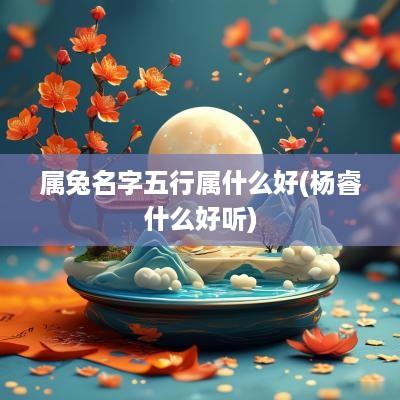 属兔名字五行属什么好(杨睿什么好听)