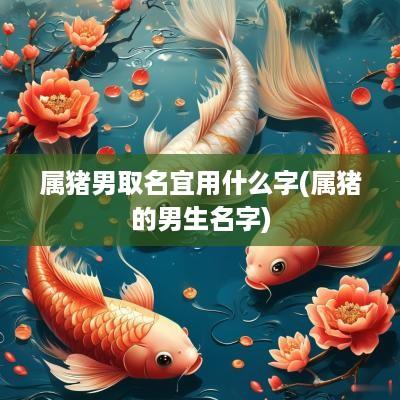 属猪男取名宜用什么字(属猪的男生名字)