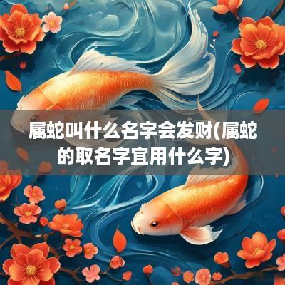 属蛇叫什么名字会发财(属蛇的取名字宜用什么字)