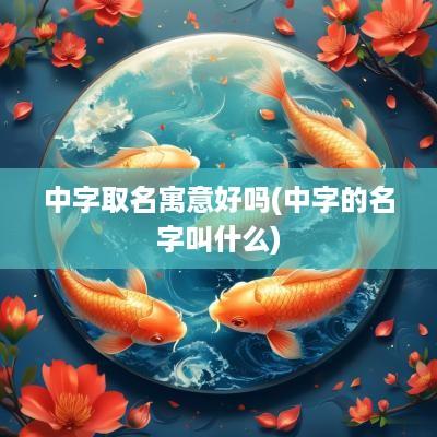 中字取名寓意好吗(中字的名字叫什么)