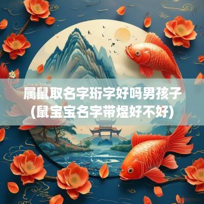 属鼠取名字珩字好吗男孩子(鼠宝宝名字带煜好不好)
